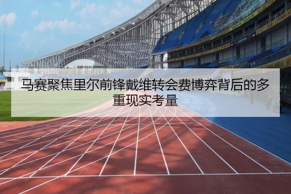 马赛聚焦里尔前锋戴维转会费博弈背后的多重现实考量